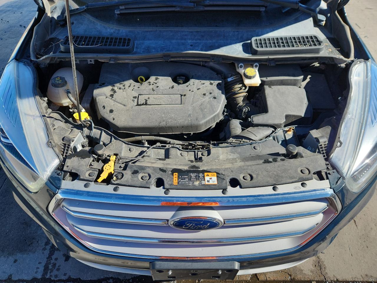 Ford Escape Titanium Image 5