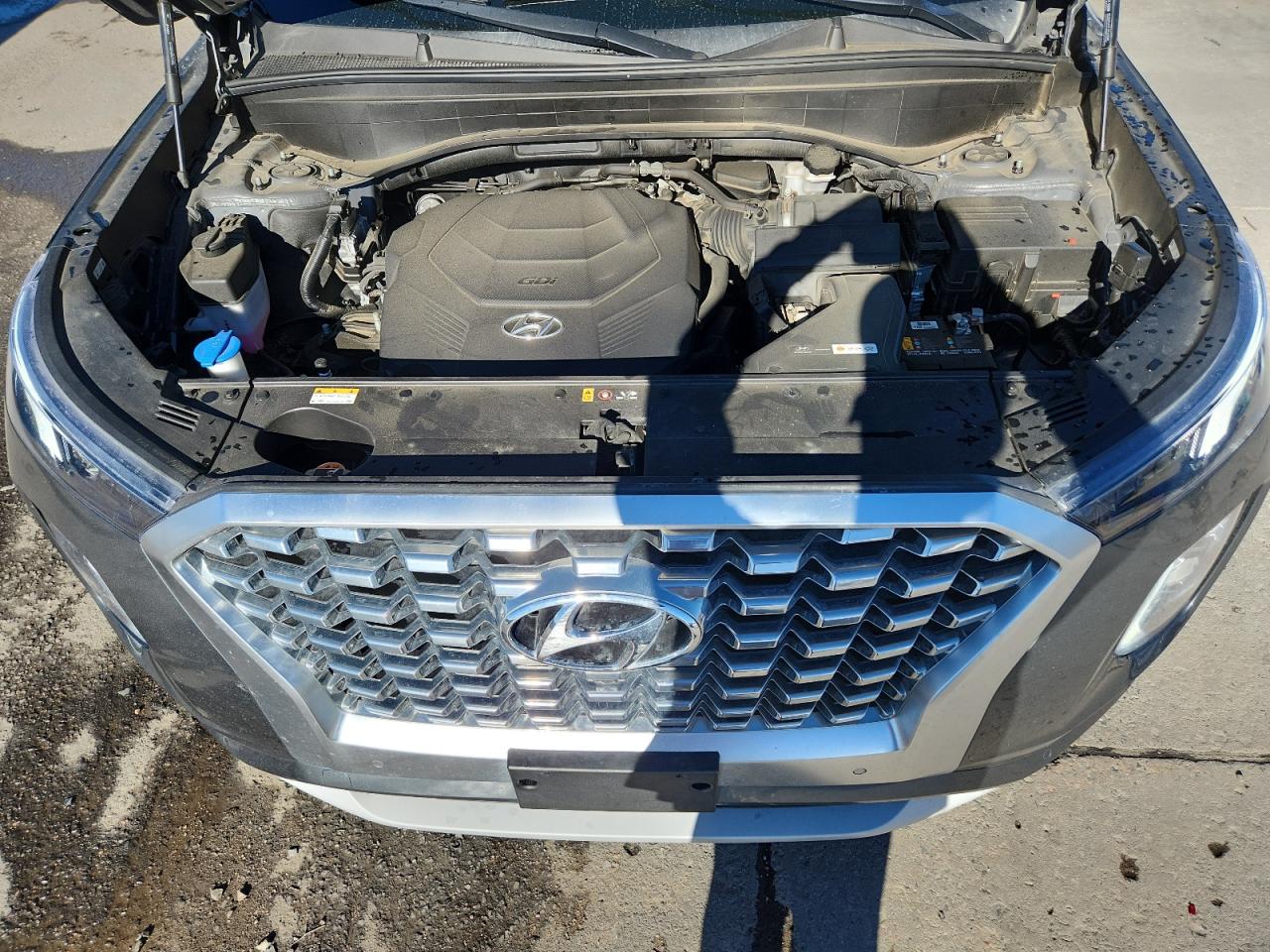 Hyundai PALISADE Limited Image 13