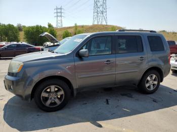  Salvage Honda Pilot