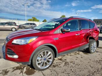  Salvage Ford Escape