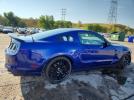 Ford Mustang Gt Image 7