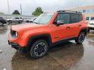 Jeep Renegade Trailhawk Image 1