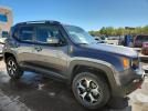 Jeep Renegade Trailhawk Image 4