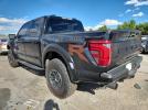 Ford F-150 Raptor Image 3