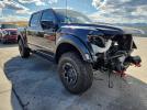 Ford F-150 Raptor Image 2