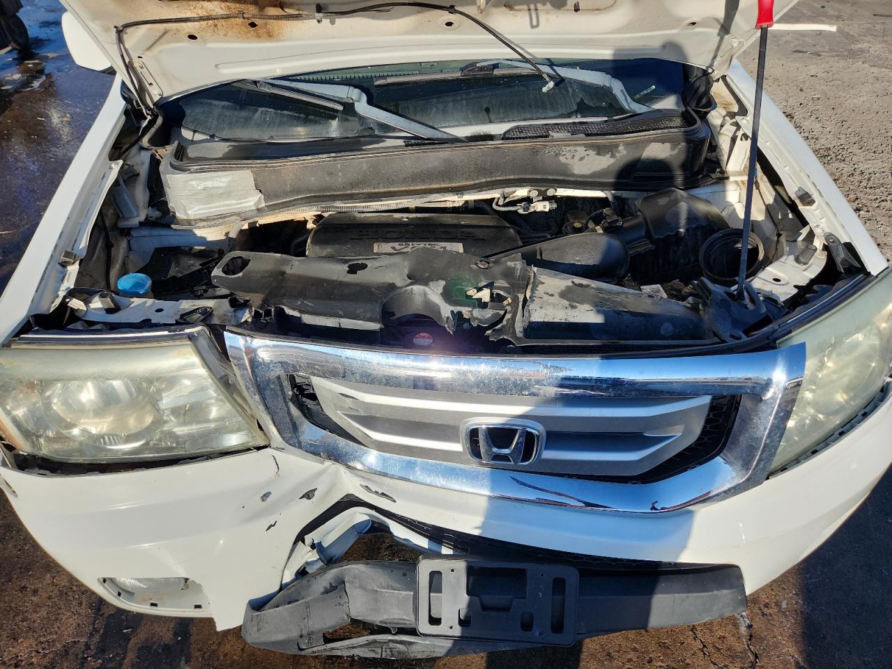 Honda Pilot Exl Image 10