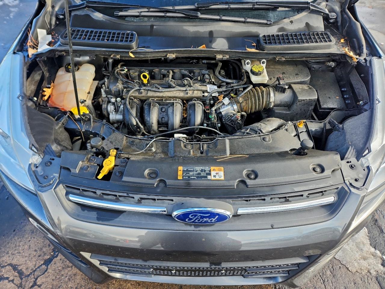 Ford Escape Se Image 7