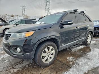  Salvage Kia Sorento