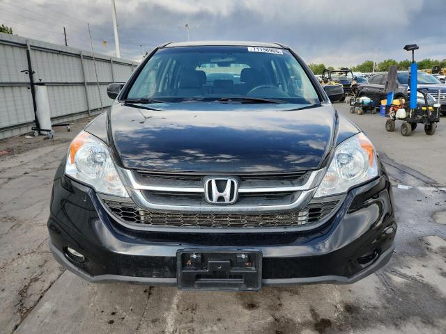 Honda Crv Lx Image 8