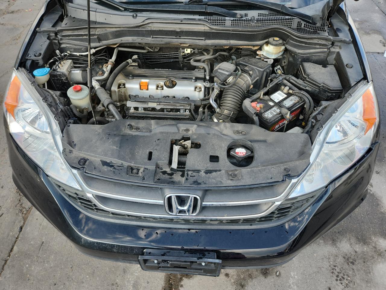 Honda Crv Lx Image 4