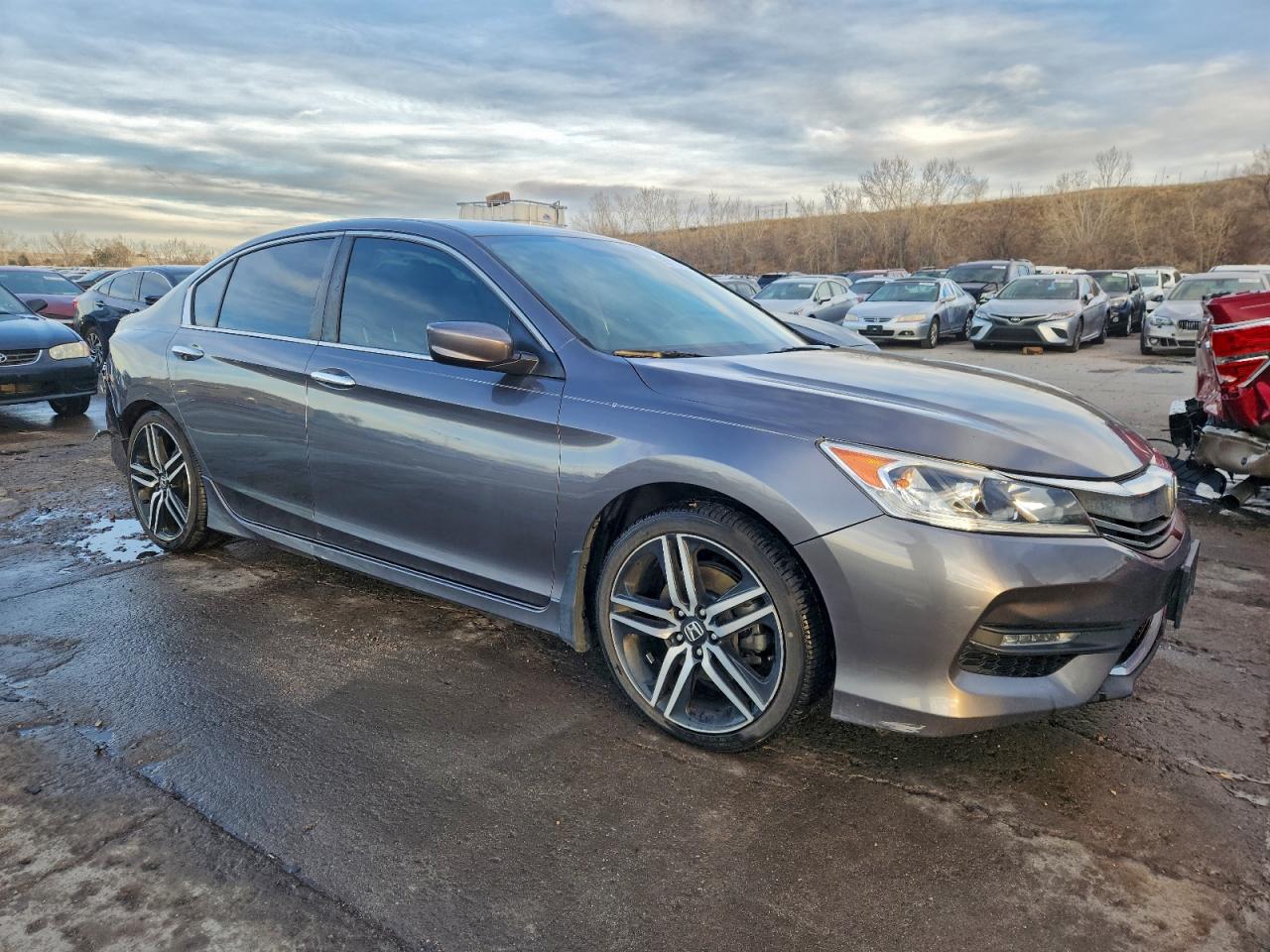 Honda Accord Sport Image 4