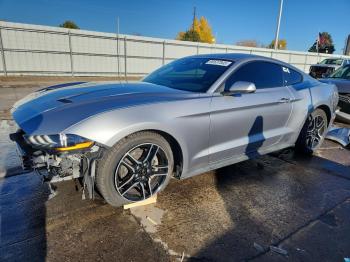  Salvage Ford Mustang