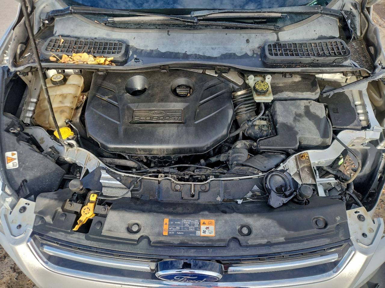 Ford Escape Titanium Image 11