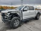 Ford F-150 Raptor Image 1