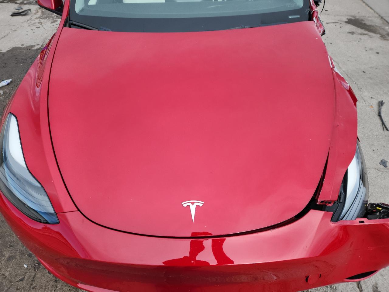Tesla Model Y Image 13