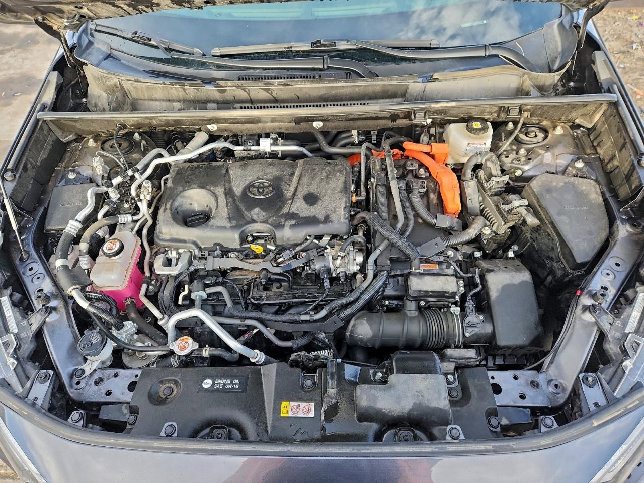 Toyota RAV4 Xse Image 13