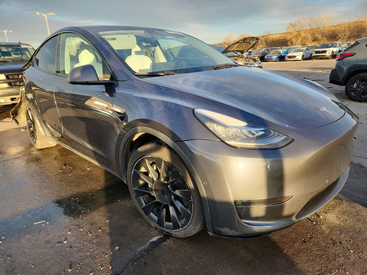 Tesla Model Y Image 3