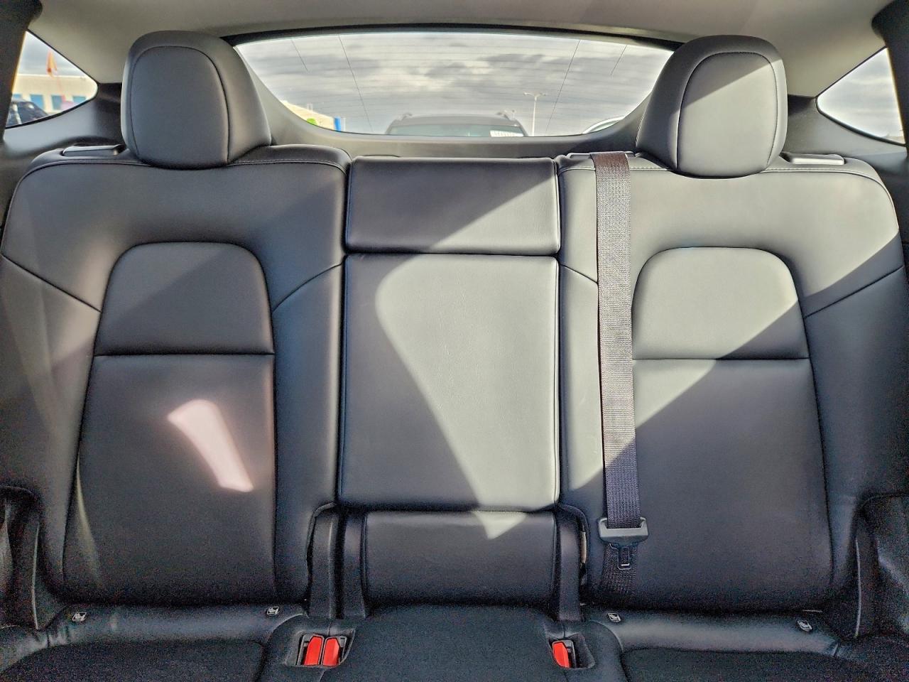 Tesla Model Y Image 10