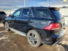 Mercedes-Benz GLE 43 Amg Image 3