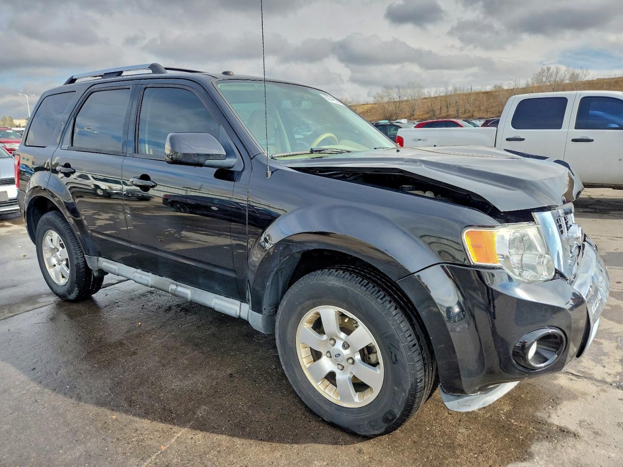 Ford Escape Limited Image 4