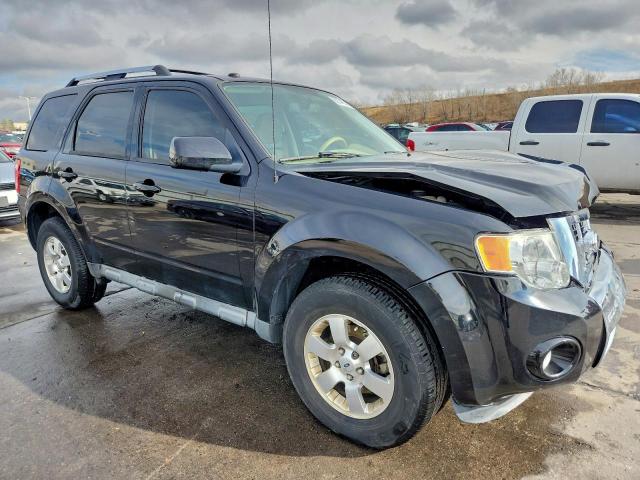 Ford Escape Limited Image 4