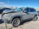 Jeep Cherokee Trailhawk Image 1