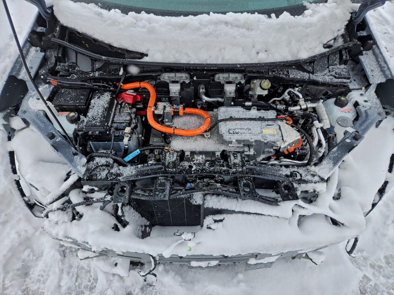 Nissan Ariya Platinum + Image 10