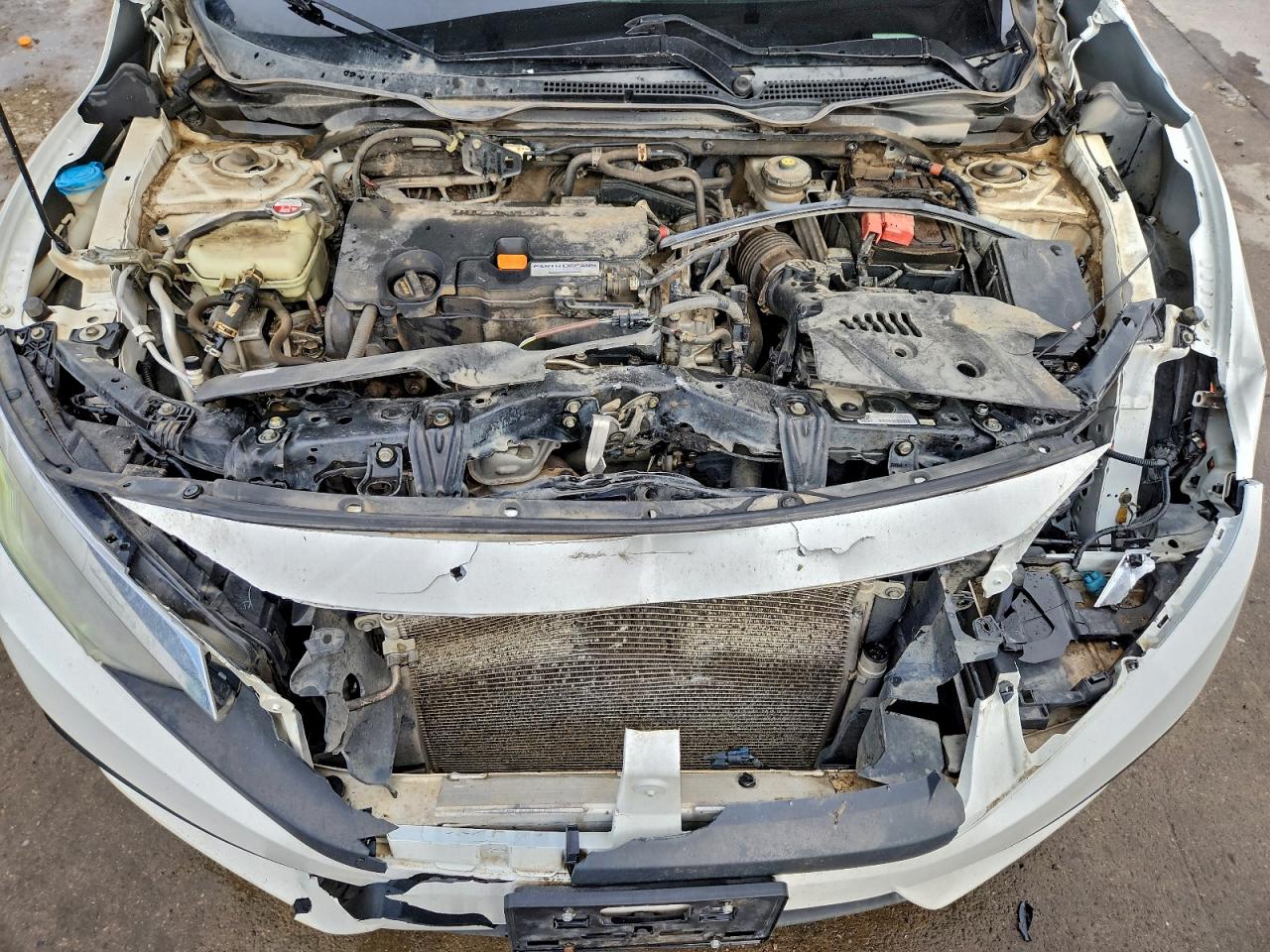 Honda Civic Lx Image 9