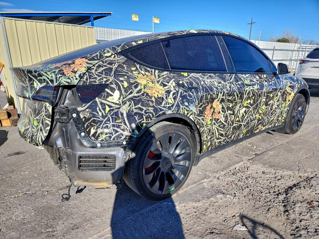 Tesla Model Y Image 5