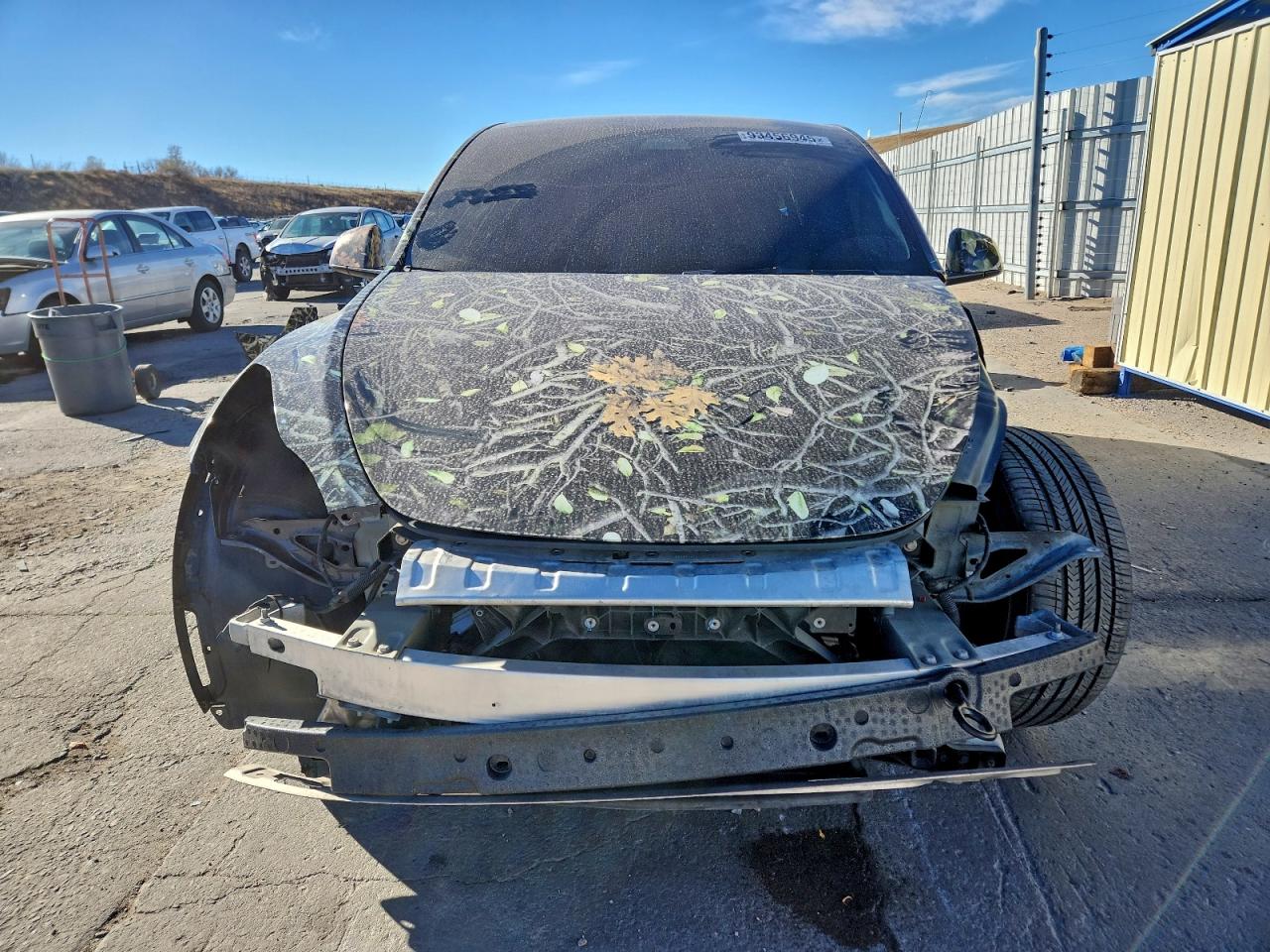 Tesla Model Y Image 12