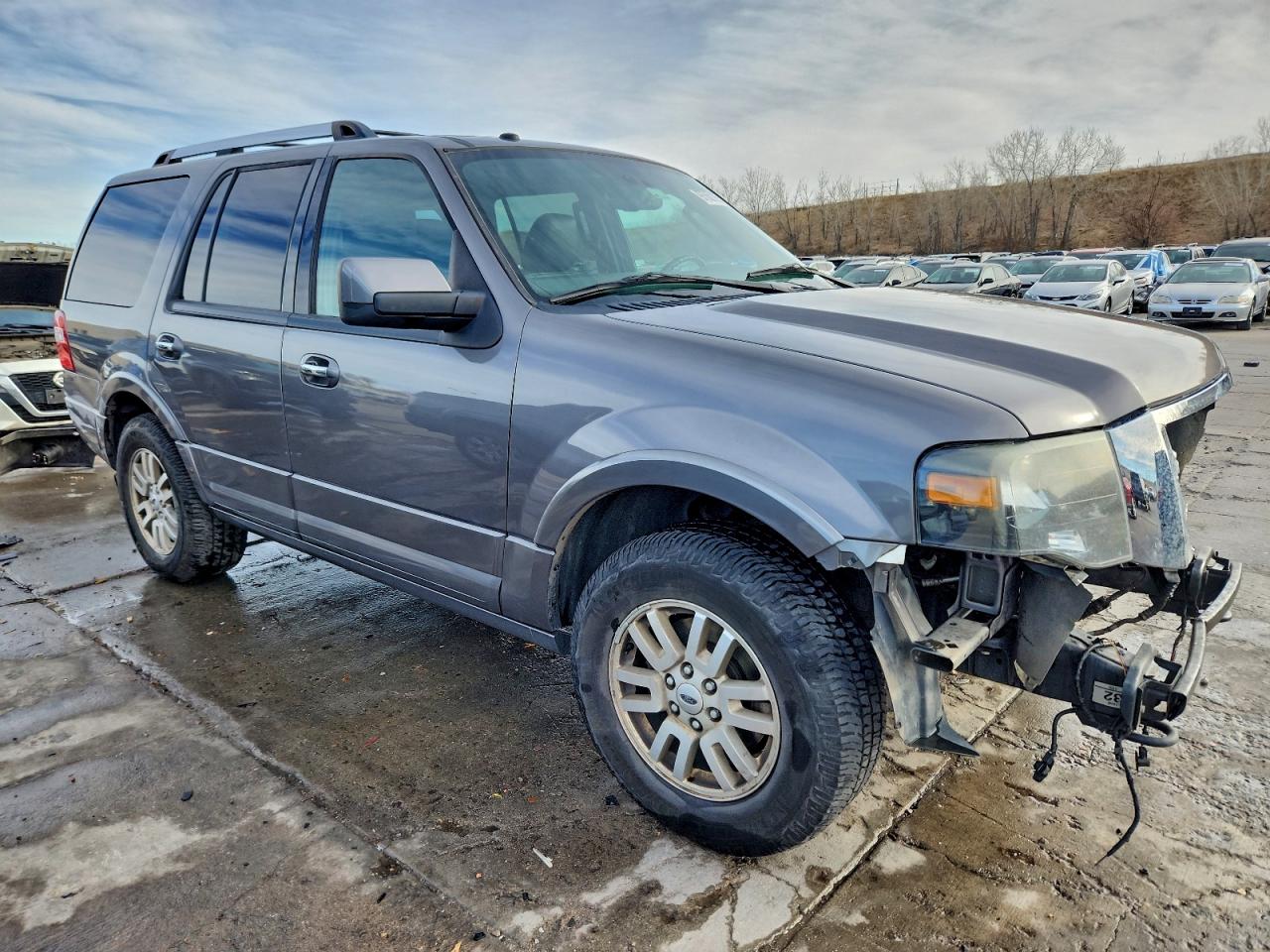 Ford Expedition Limited Image 9