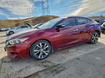  Salvage Nissan Maxima
