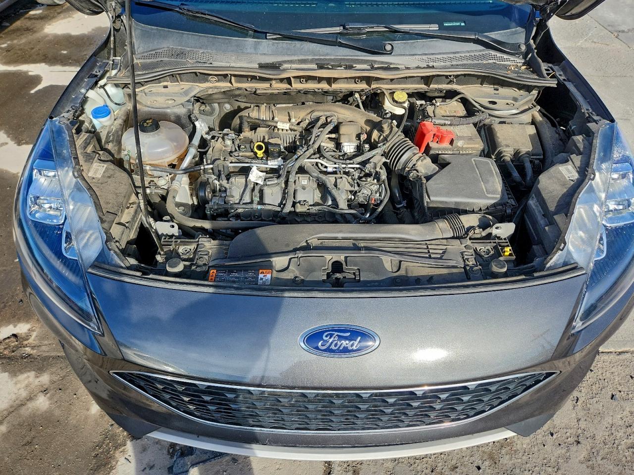 Ford Escape Titanium Image 12