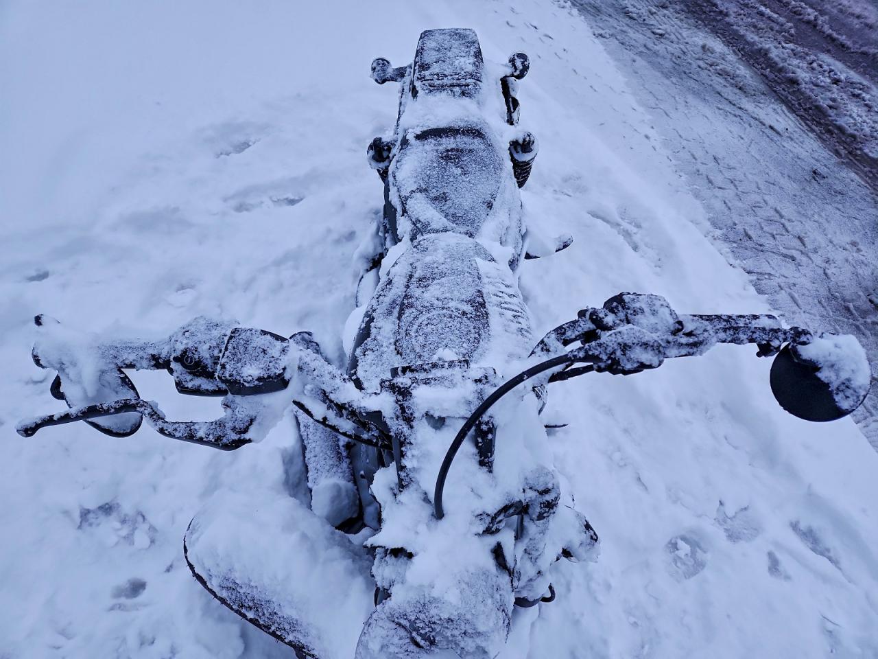 Harley-Davidson Rh975 S S Image 4