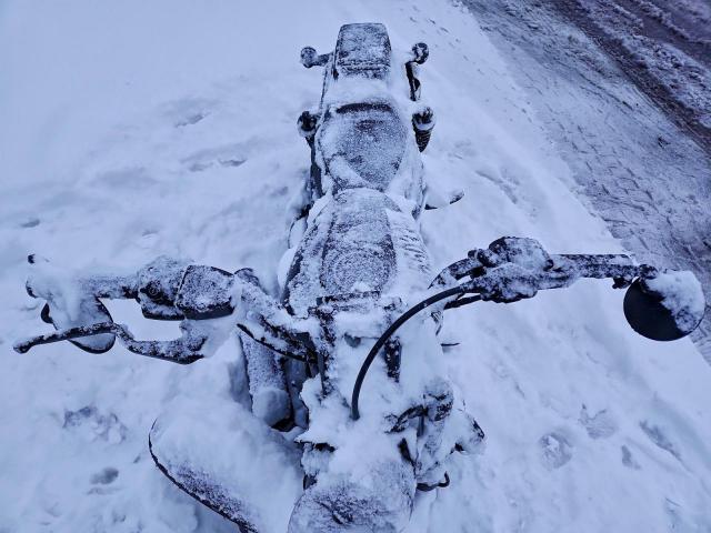 Harley-Davidson Rh975 S S Image 4