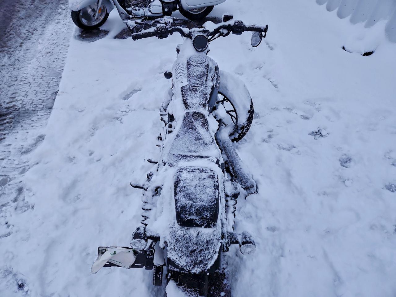 Harley-Davidson Rh975 S S Image 5