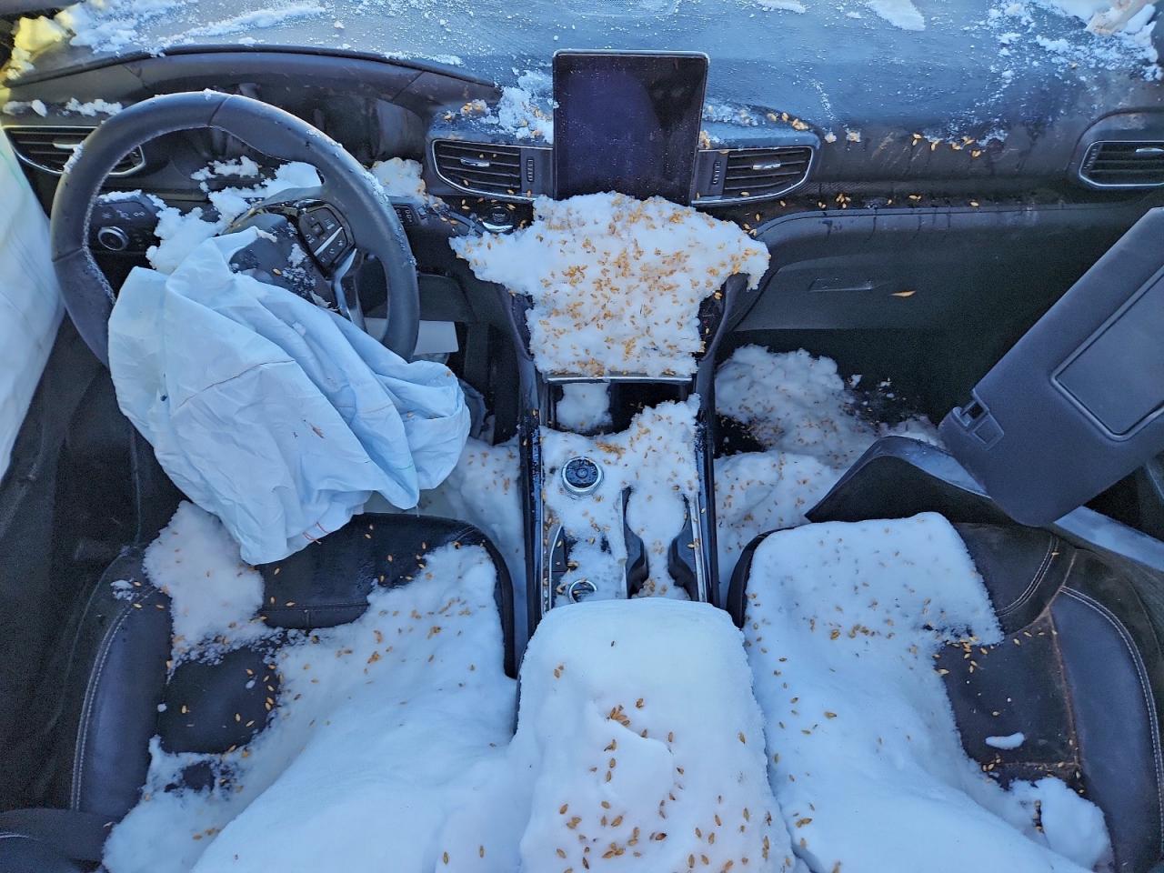 Ford Explorer St Image 9