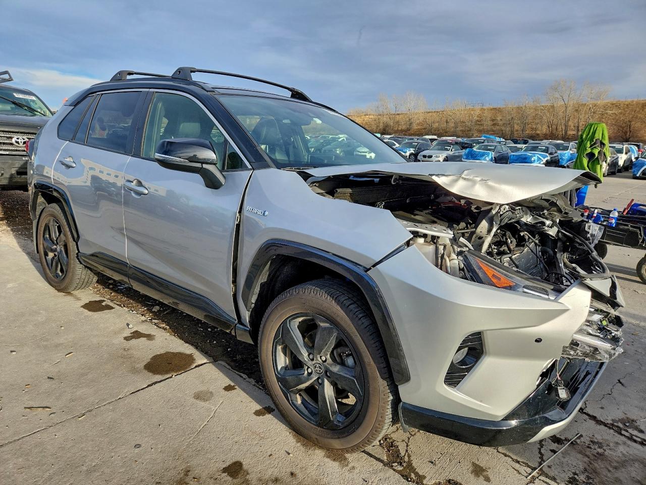 Toyota RAV4 Xse Image 8