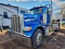 Peterbilt 389 Image 4