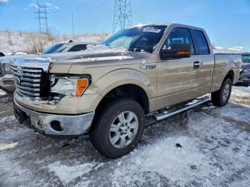  Salvage Ford F-150
