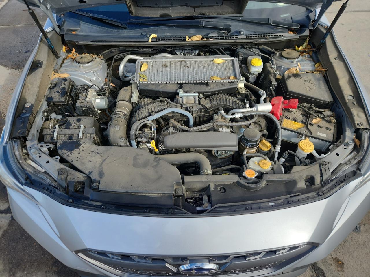 Subaru WRX Premium Image 9