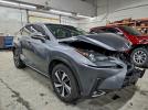 Lexus NX 300 Base Image 11
