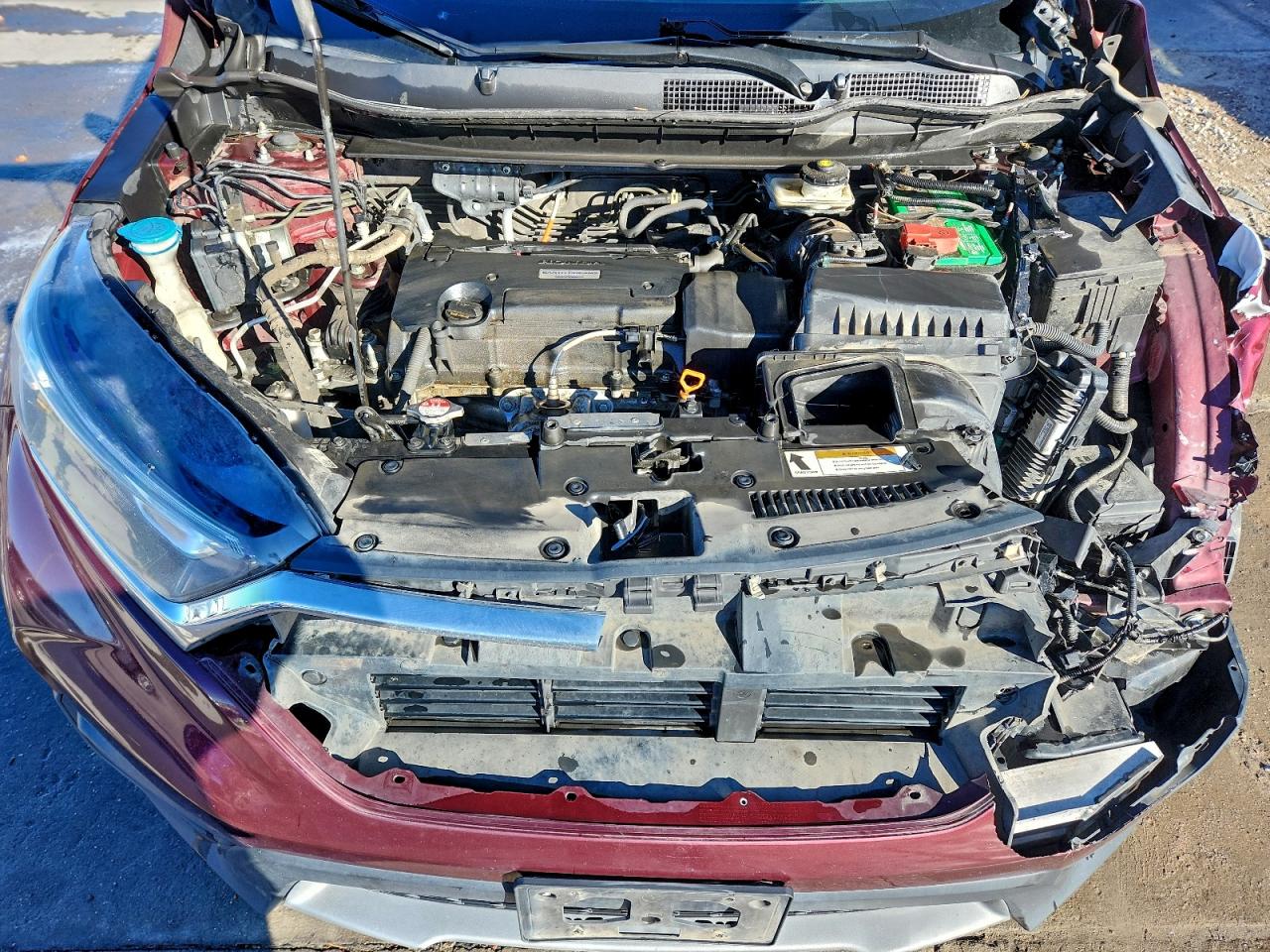 Honda Crv Lx Image 8