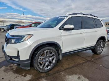  Salvage Honda Passport