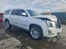 Cadillac Escalade Esv Platinum Image 12