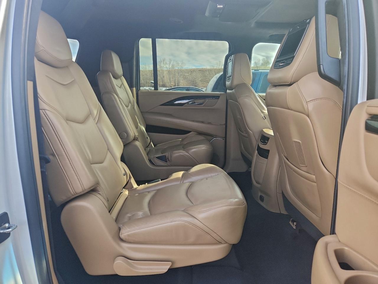 Cadillac Escalade Esv Platinum Image 11