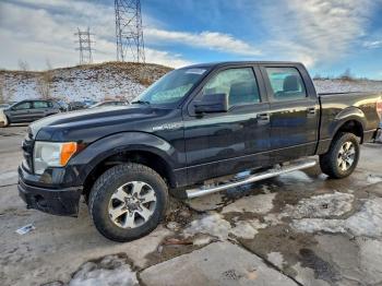  Salvage Ford F-150