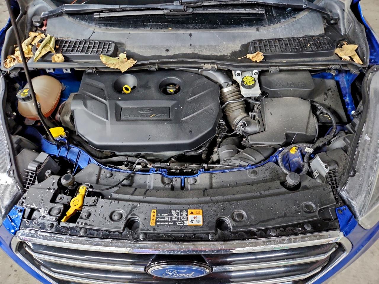 Ford Escape Se Image 2