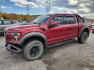 Ford F-150 Raptor Image 1