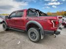 Ford F-150 Raptor Image 3
